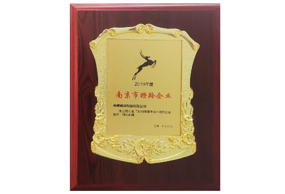 2019“瞪羚企業”